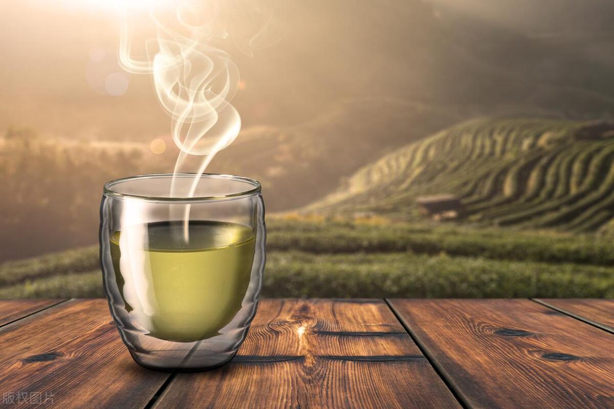红茶和绿茶的区别-第7张图片-茶评网